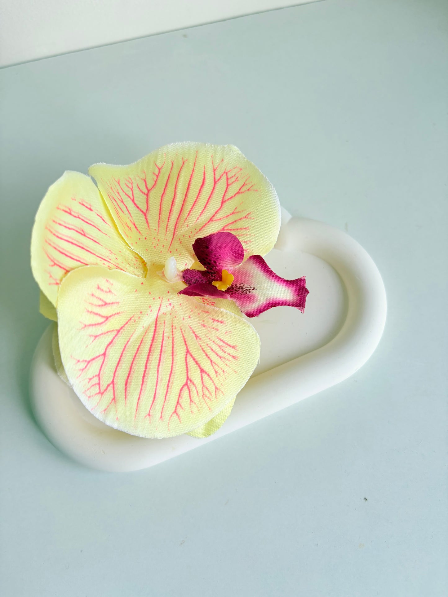 Orchid flower claw