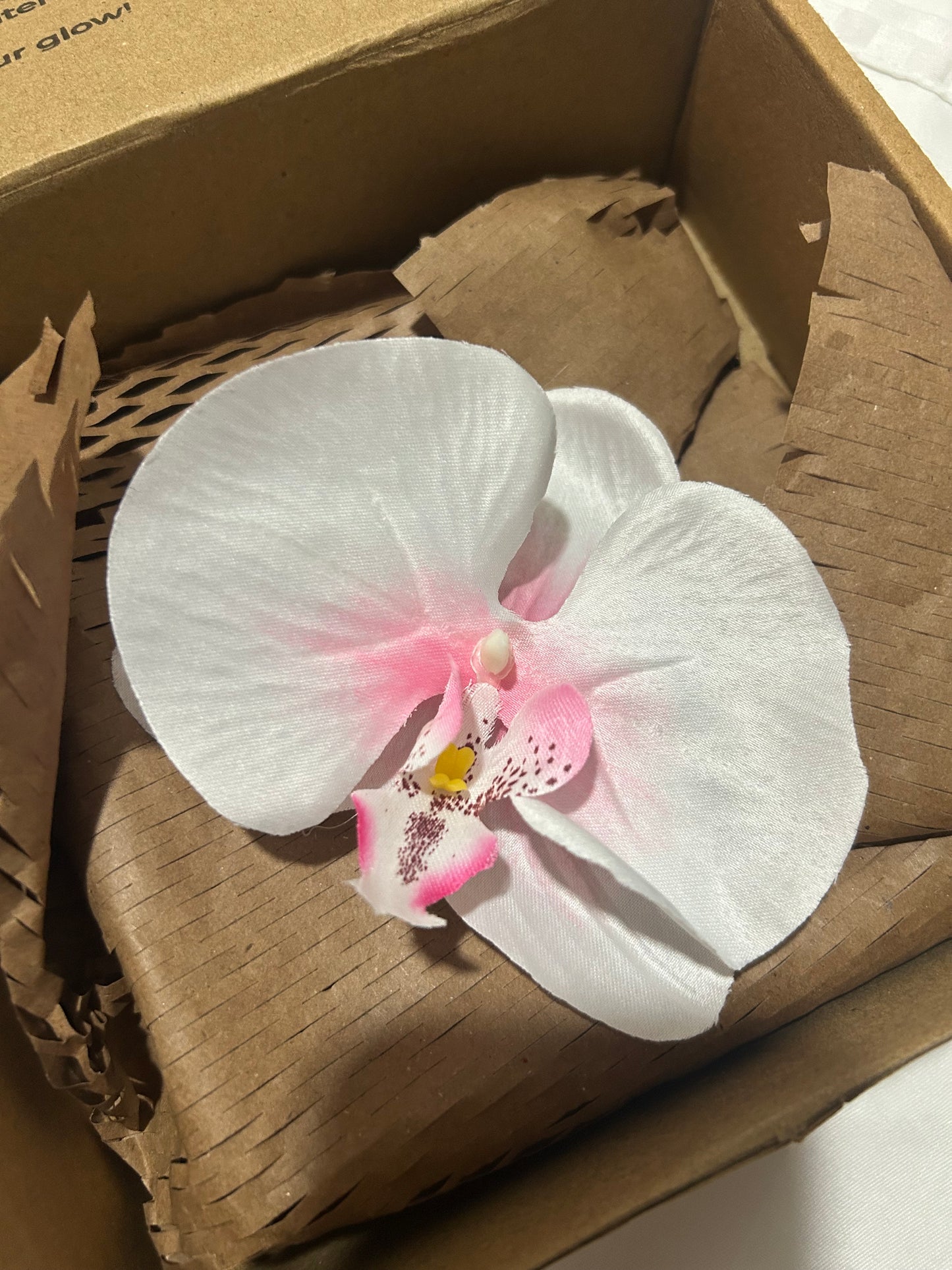 Orchid flower claw