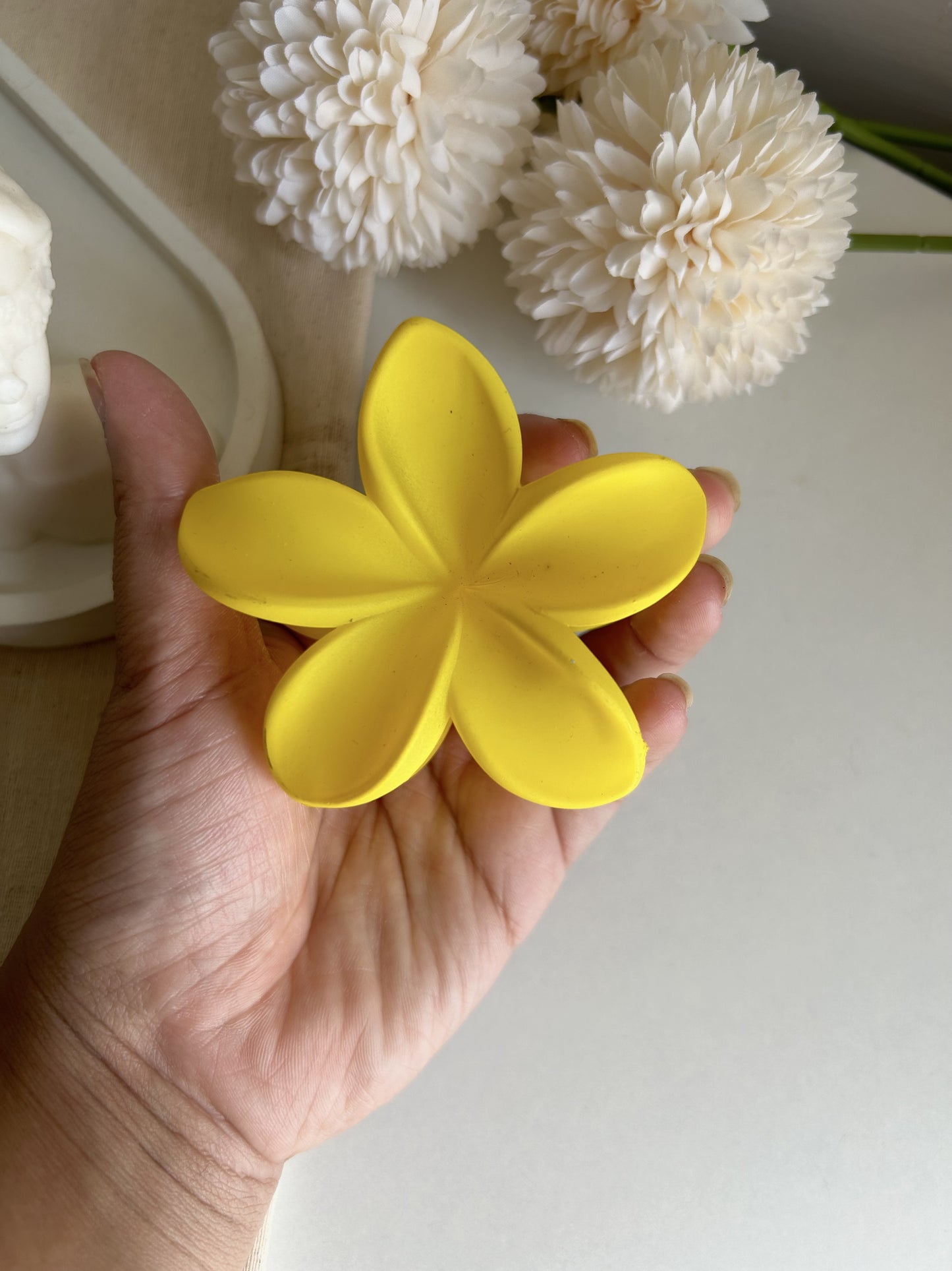 Aurora Claw Clips