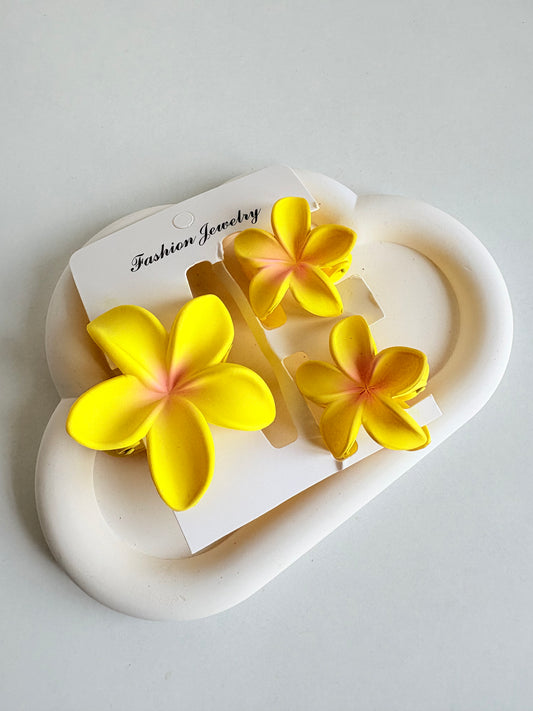 Bloom & Glow claw clips (set of 3)