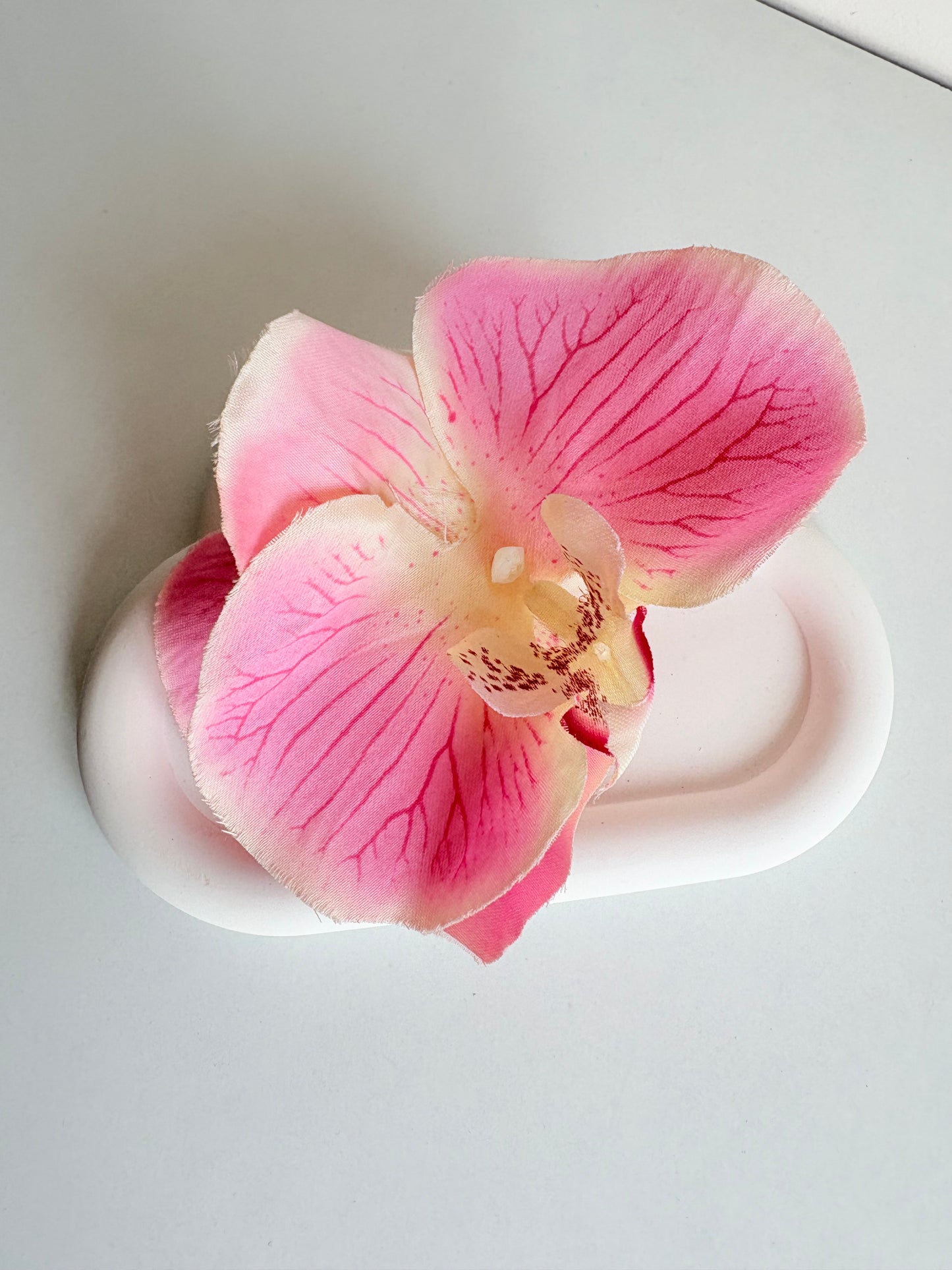 Orchid flower claw