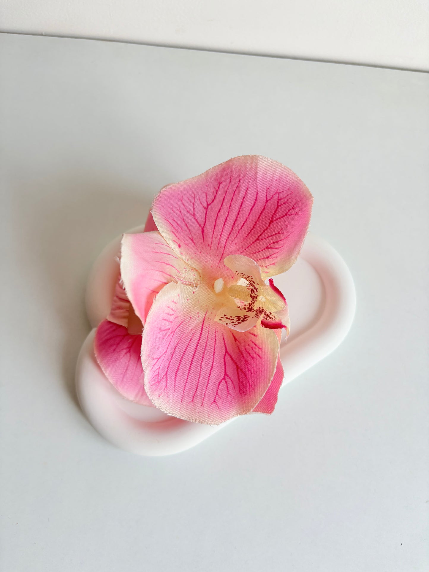 Orchid flower claw