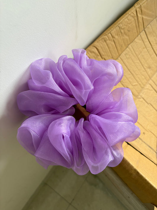 Purple bloom💜