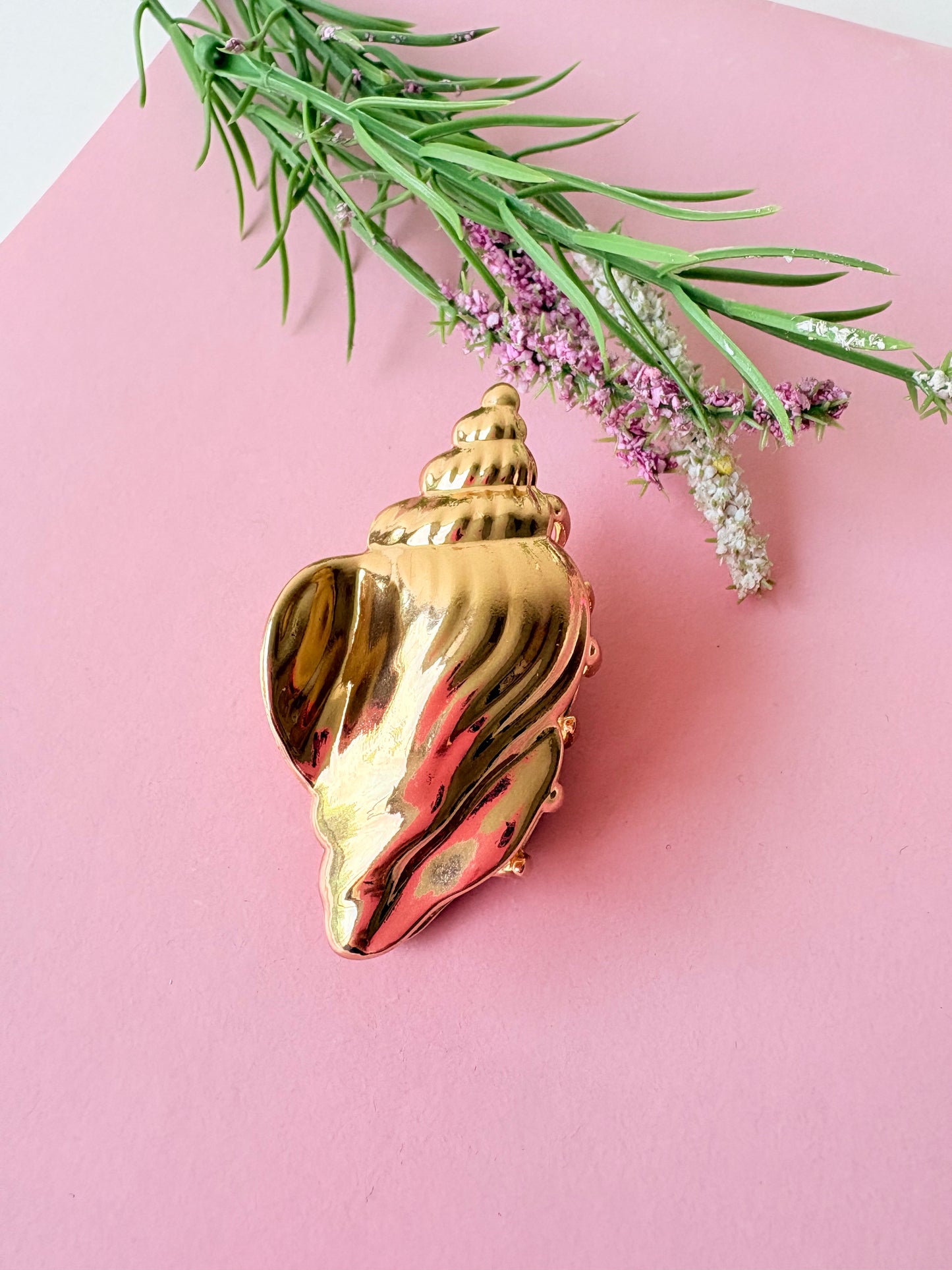 Sea Shell luxe claw