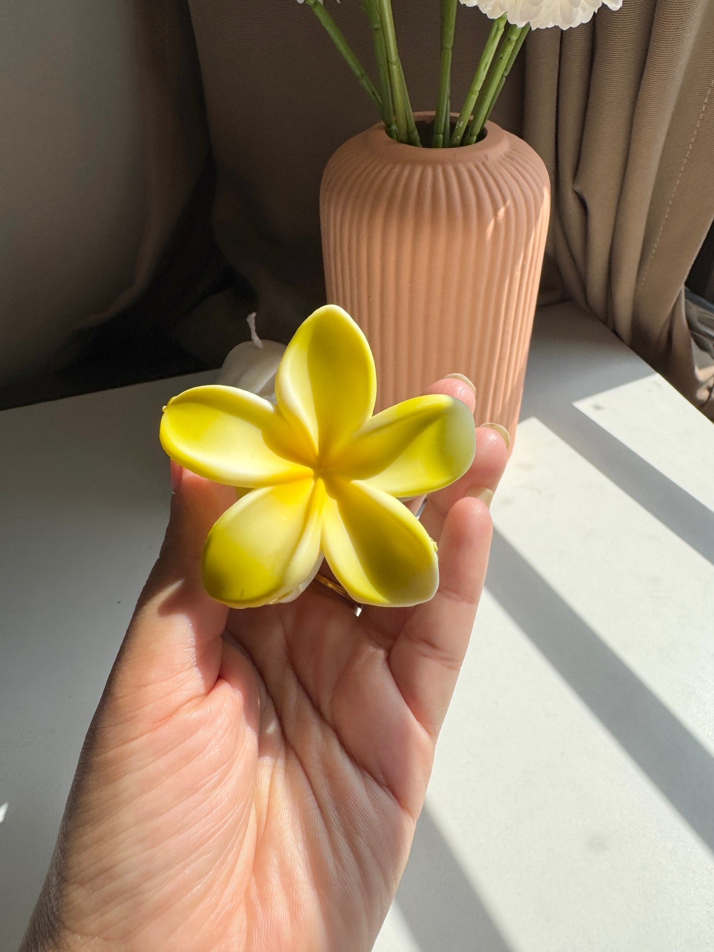 Hawai Claw Clip
